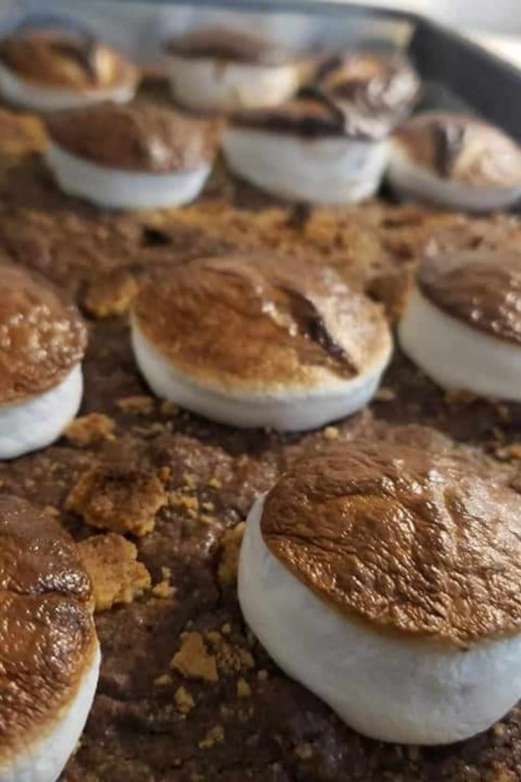 Baked S'more Brownies