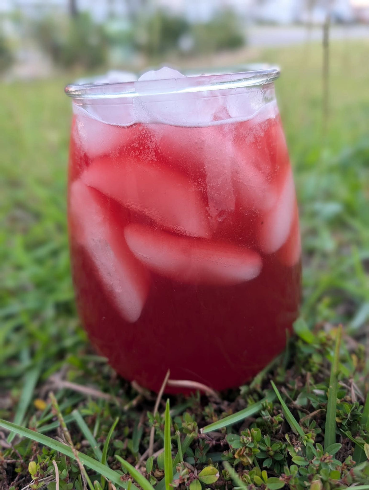 Dracula Juice