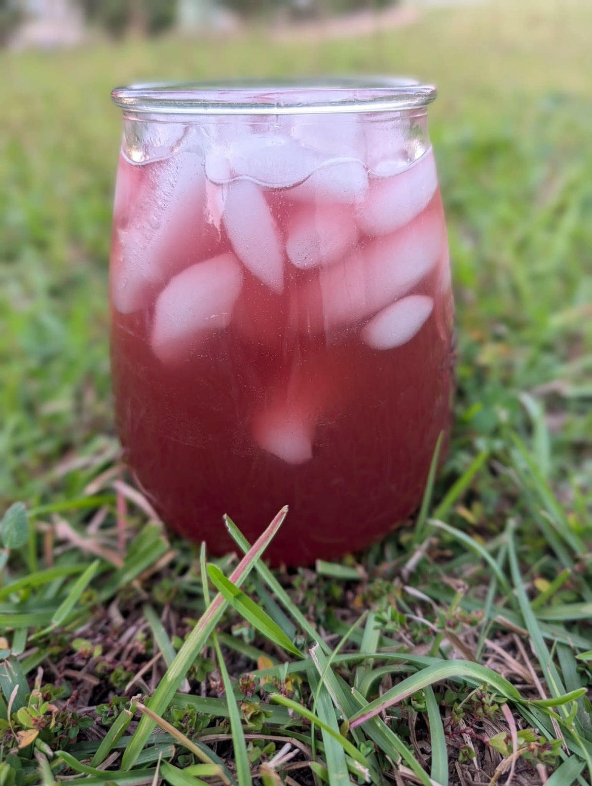 Black Dragon Drink Mix