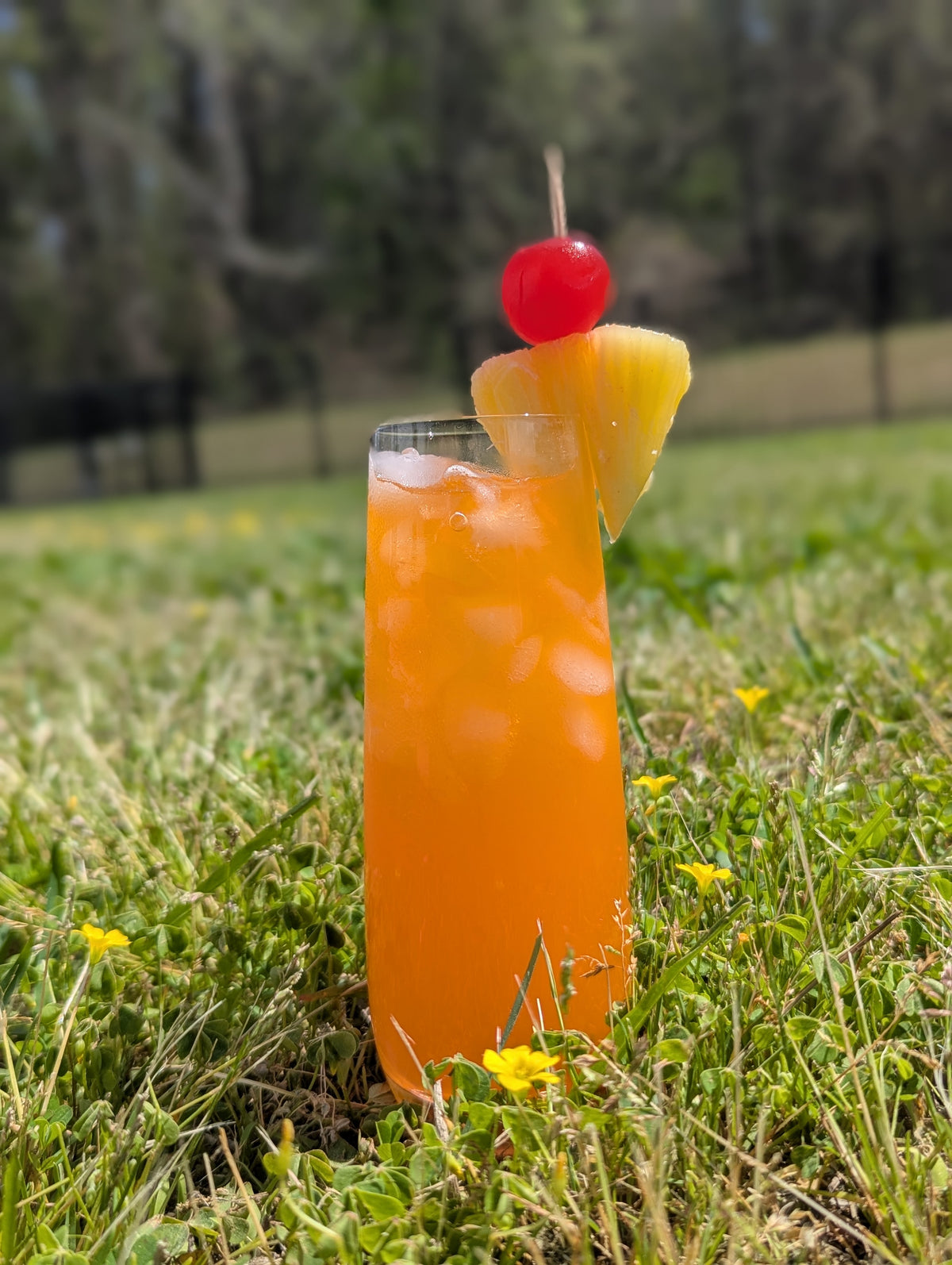 Bahama Mama Drink Mix